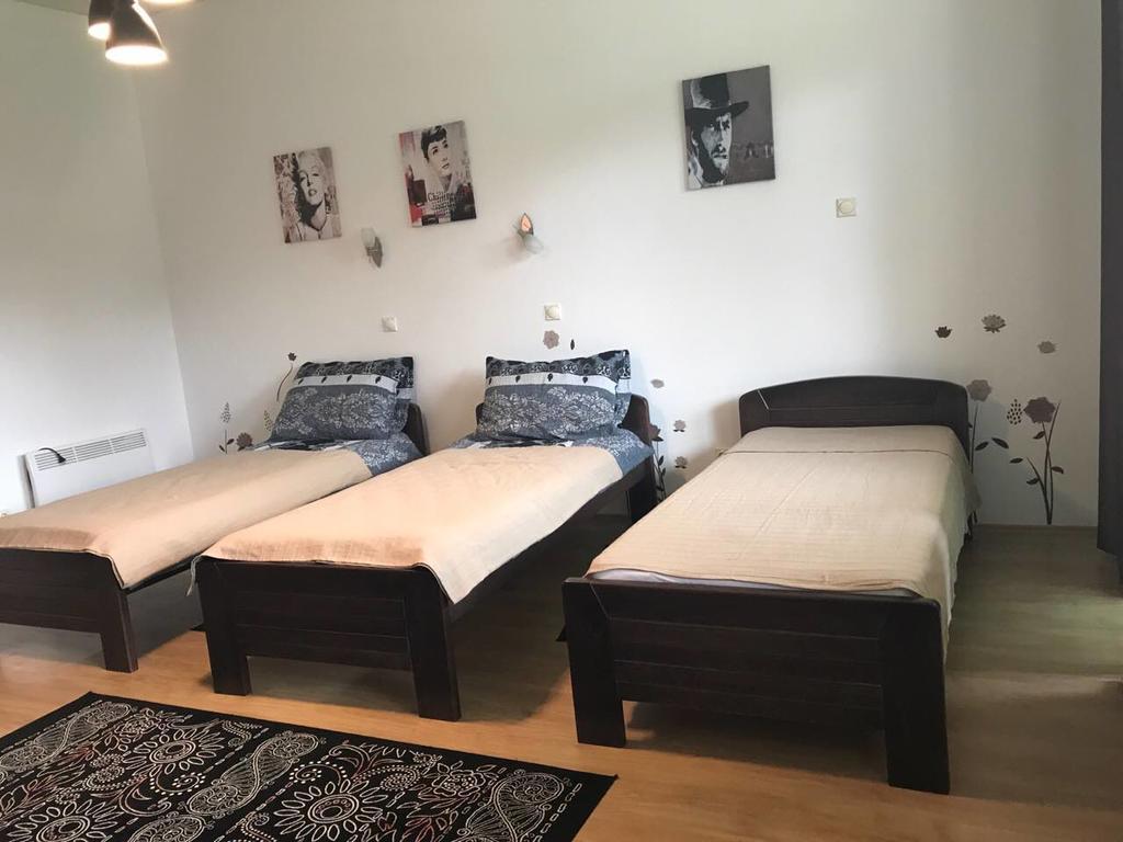 Felix Apartment Златибор Екстер'єр фото